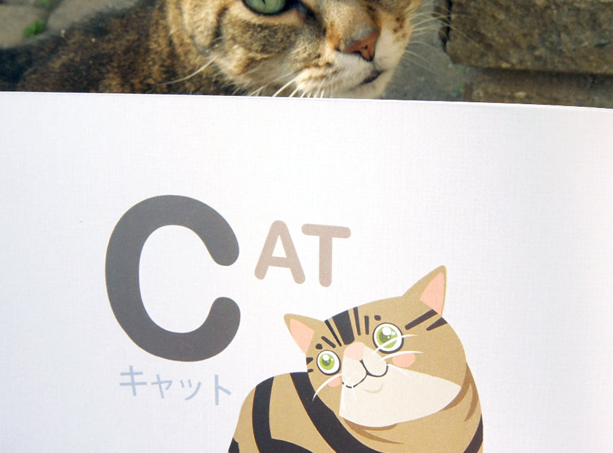 ABC Book in ENG/KATAKANA ( A-Z )